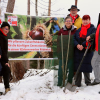 Symbolische Pflanzaktion