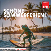Frosch auf dem Surfbrett